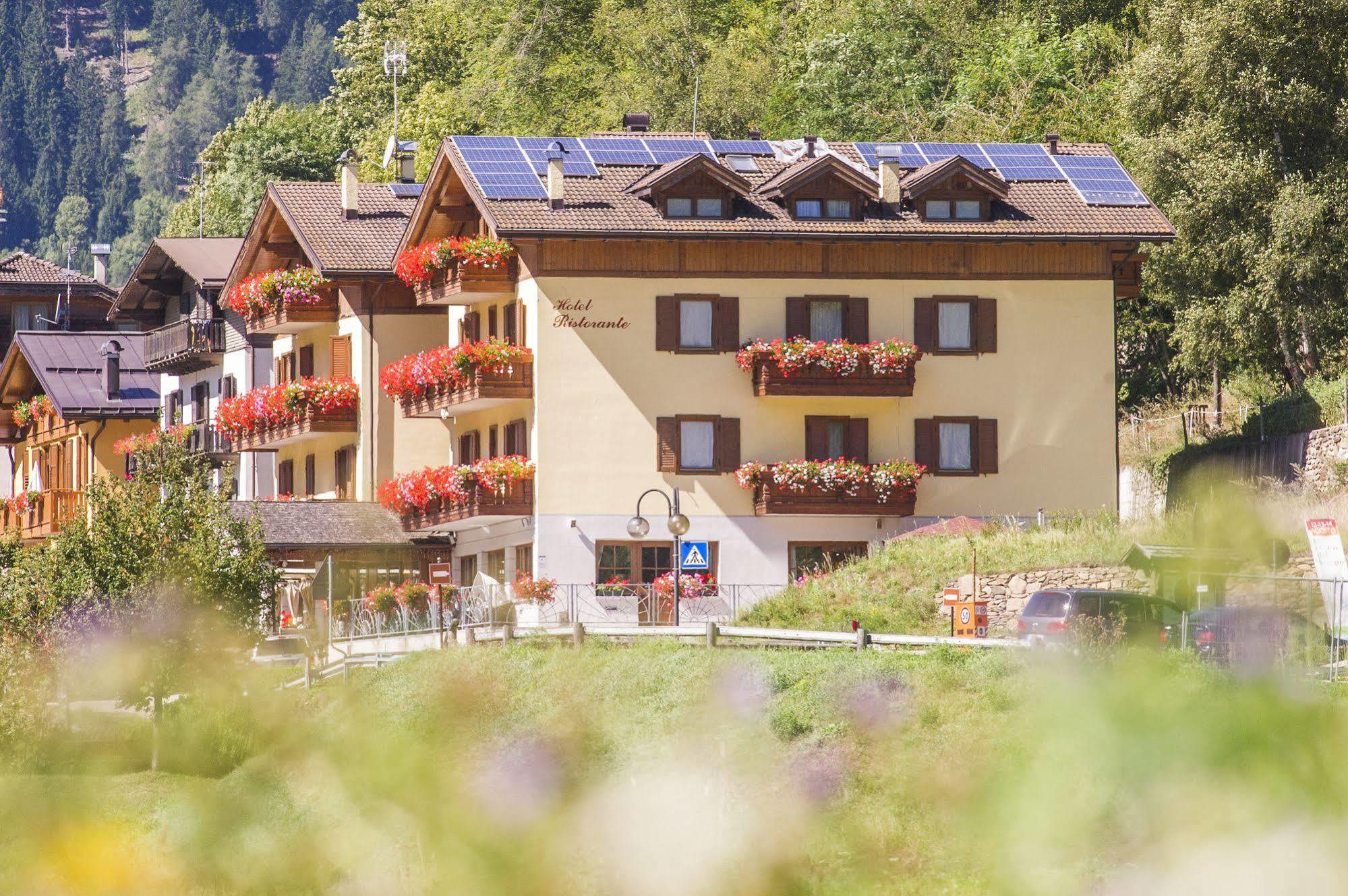 Hotel Pezzotti Pellizzano Ngoại thất bức ảnh